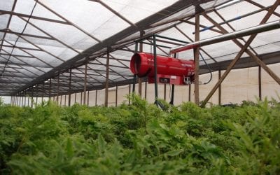 Tudo sobre aquecedores para estufas