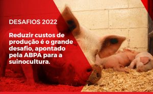 Desafios da Sunicultura em 2022