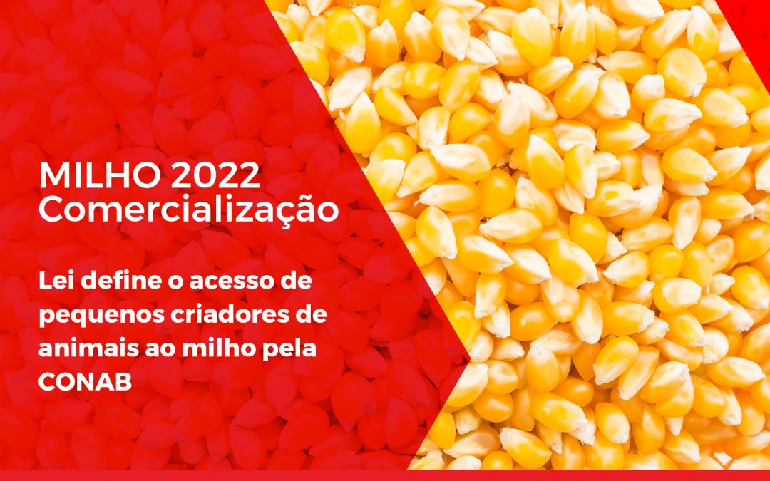 Nova Lei define o acesso de pequenos criadores de animais ao milho comercializado pela CONAB.