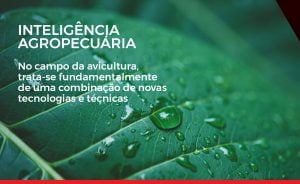 Inteligência agropecuária