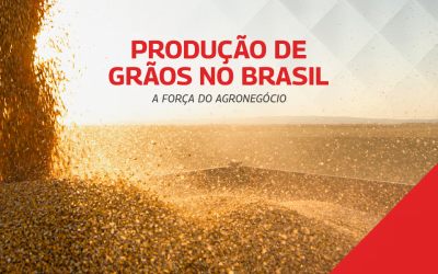 PRODUÇÃO DE GRÃOS NO BRASIL – a força do agronegócio
