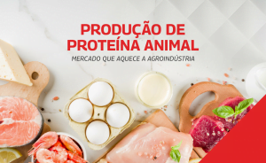 proteina