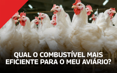 Qual o combustível mais eficiente para o meu aviário?