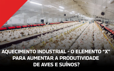 Aquecimento Industrial – o elemento “X” para aumentar a produtividade de Aves e Suínos?