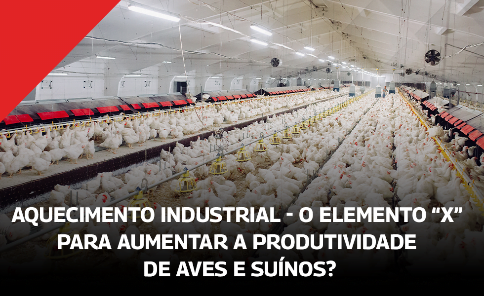 Aquecimento Industrial – o elemento “X” para aumentar a produtividade de Aves e Suínos?