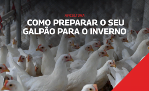 Aquecimento para o inverno
