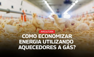 energia gas