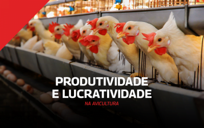 Como o aquecimento industrial pode aumentar a produtividade e o lucro na avicultura?