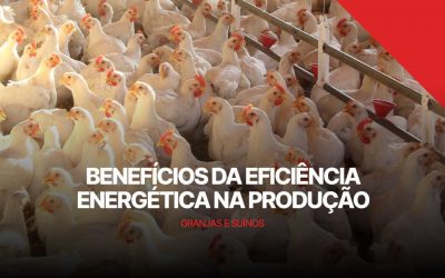 A Importância da Eficiência Energética na Produção de Granjas e Suínos