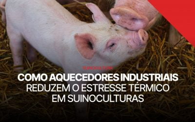 Como aquecedores industriais reduzem o estresse térmico em suinoculturas